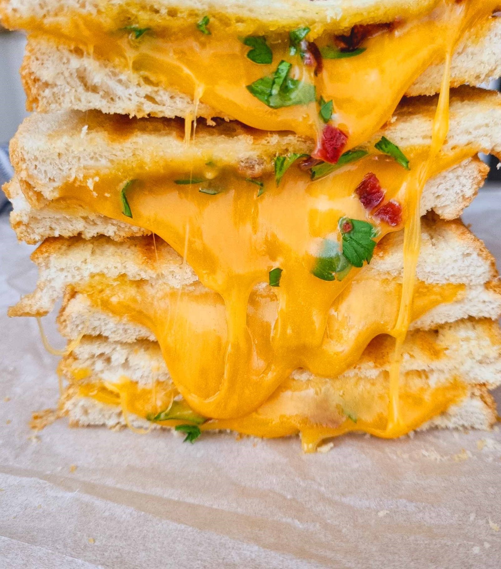 grilled cheese sandwich