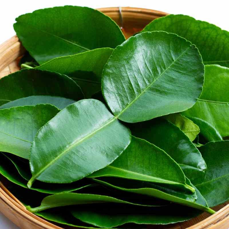 kaffir lime leaves