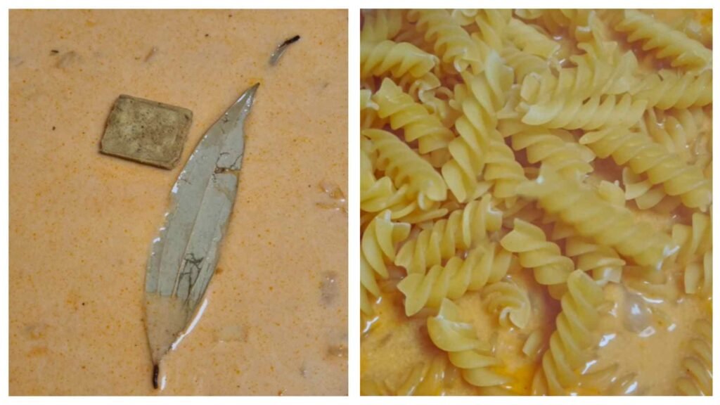 Chicken Noodle Soup 3